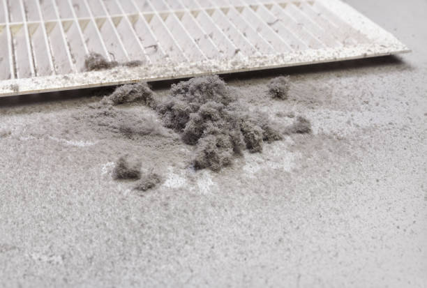 Air Duct Mold Removal in Princeton, WI