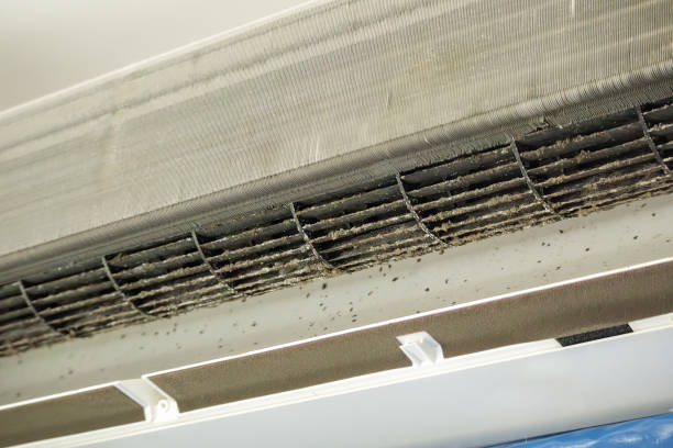 Best Ventilation Cleaning Services  in Princeton, WI