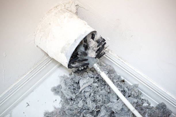 Best Professional Duct Cleaning Services  in Princeton, WI